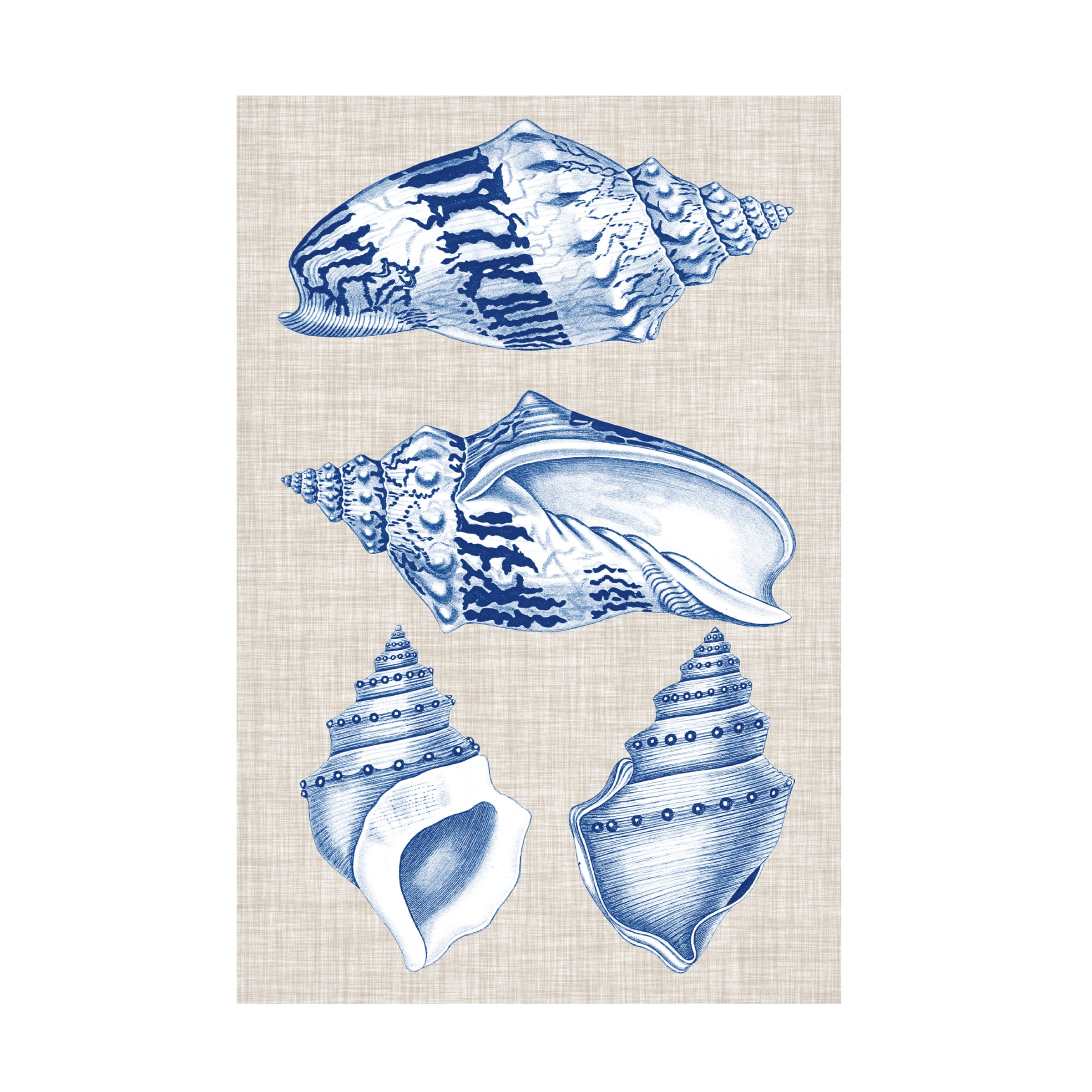 Vision Studio 'Navy And Linen Shells II' Canvas Art