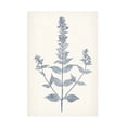 thumbnail image 1 of Vision Studio 'Navy Botanicals VII' Canvas Art, 1 of 3