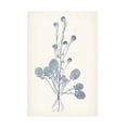 thumbnail image 1 of Vision Studio 'Navy Botanicals VIII' Canvas Art, 1 of 3