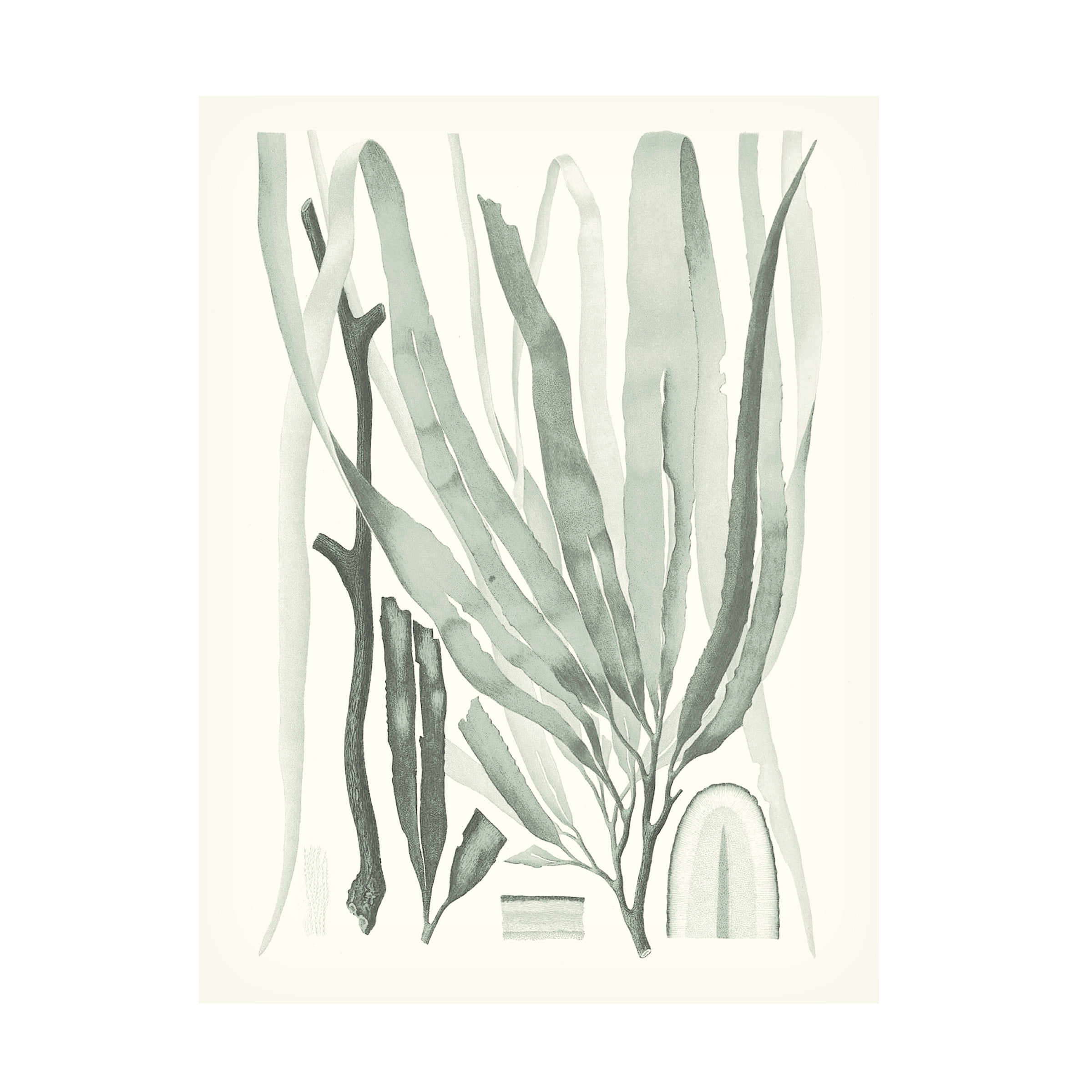 Sage Green Seaweed Floral Canvas Art in 24 x 32