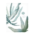 thumbnail image 1 of Vision Studio 'Seaside Seaweed IV' Canvas Art, 1 of 3