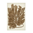 thumbnail image 1 of Vision Studio 'Sepia Seaweed I' Canvas Art, 1 of 3
