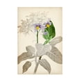 thumbnail image 1 of Vision Studio 'Silvery Botanicals IX' Canvas Art, 1 of 3