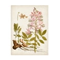 thumbnail image 1 of Vision Studio 'Vintage Charm II' Canvas Art, 1 of 3