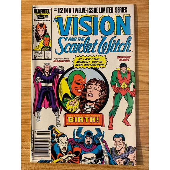 Vision and the Scarlet Witch #12 Comic Book