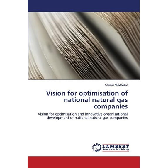 Vision for optimisation of national natural gas companies (Paperback)