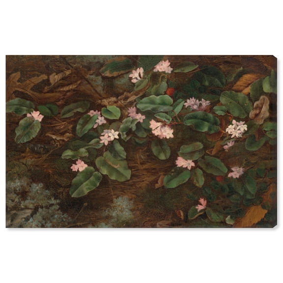Vision of the Forest Floor Canvas Print Vintage Decor by Art Remedy, Gallery Wrapped, 15 x 10