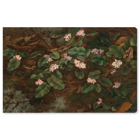 Vision of the Forest Floor Canvas Print Vintage Decor by Art Remedy, Gallery Wrapped, 54 x 36