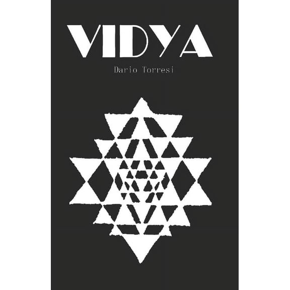 Visioni Vidya, Book 4, (Paperback)