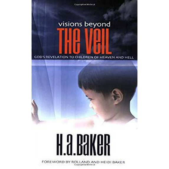 Pre-Owned Visions Beyond the Veil (Paperback) 1852404574 9781852404574