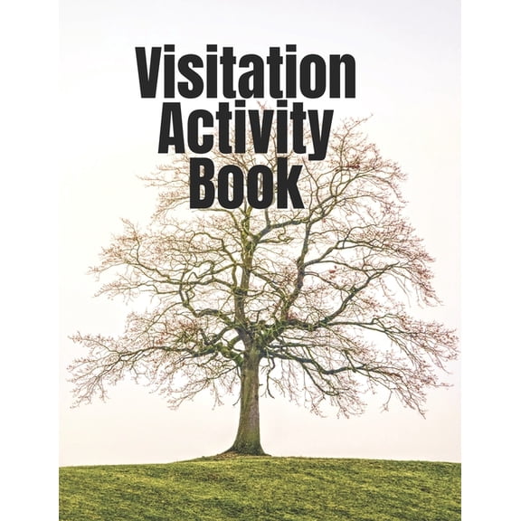 Visitation Activity Book (Paperback)