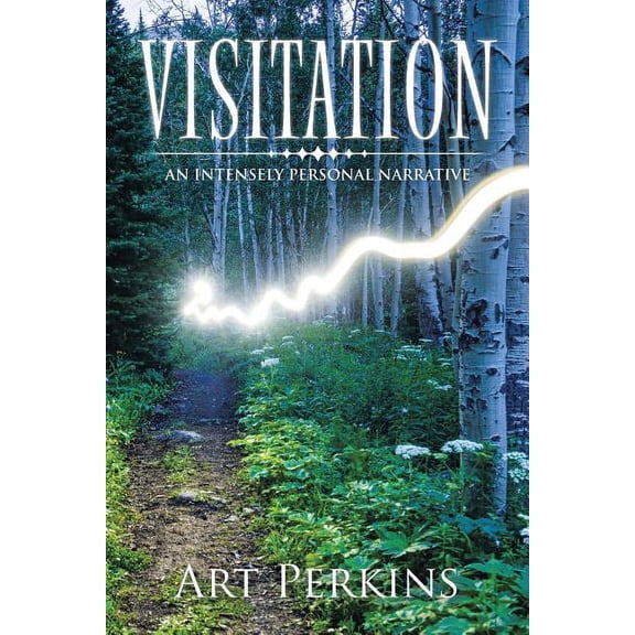 Visitation: An Intensely Personal Narrative (Paperback)