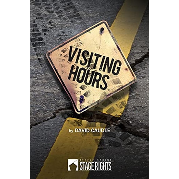 Pre-Owned Visiting Hours (Paperback) 1946259195 9781946259196