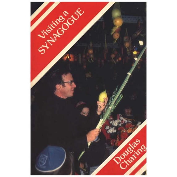 Visiting a Synagogue (Paperback)