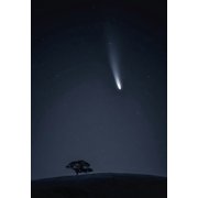 Visitor Poster Print - Aidong Ning 18 x 24
