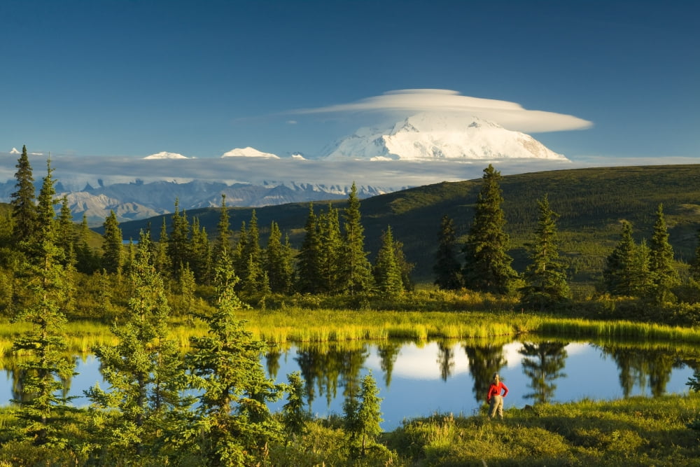 Visitor Viewing The Northside Of Mt Mckinley From A Pond Near Camp Denali Kantishna Hills Denali National Park Interior Alaska SummerN Canvas Art - Michael DeYoung Design Pics (34 x 22)
