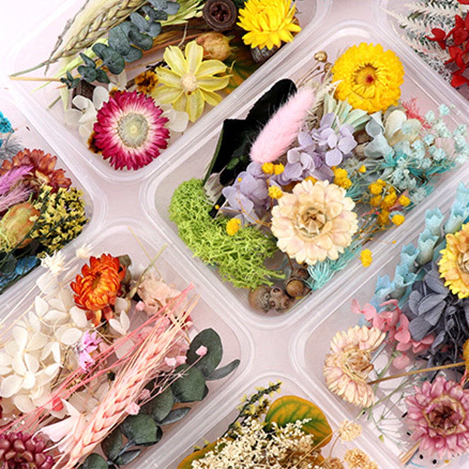 Visland 1 Box Real Mix Dried Flowers for Resin Jewellery Dry