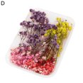 thumbnail image 1 of Visland 1 Box Real Mix Dried Flowers for Resin Jewellery Dry Plants Pressed Flowers Making Craft DIY Accessories, 1 of 7
