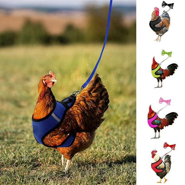 Visland 1 Set Adjustable Chicken Harness and Leash for Hen Roosters Comfortable Hen Pet Vest with Matching Belt Breathable Chicken Training Harness