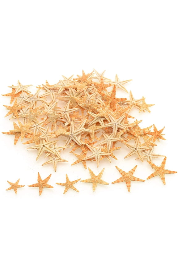 100PCS Small Starfish Star Sea Shell Beach Crafts Decor
