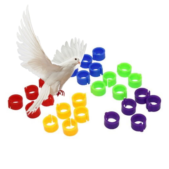 Visland 100Pcs Mix Color 8mm Foot Ring Bands Bird Clip On Leg Rings For Pigeon