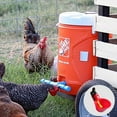 thumbnail image 1 of Visland 10Pcs Healthy Pet Gravity Food Or Water Station Automatic Chicken Feeder Or Water Dispenser, 1 of 8