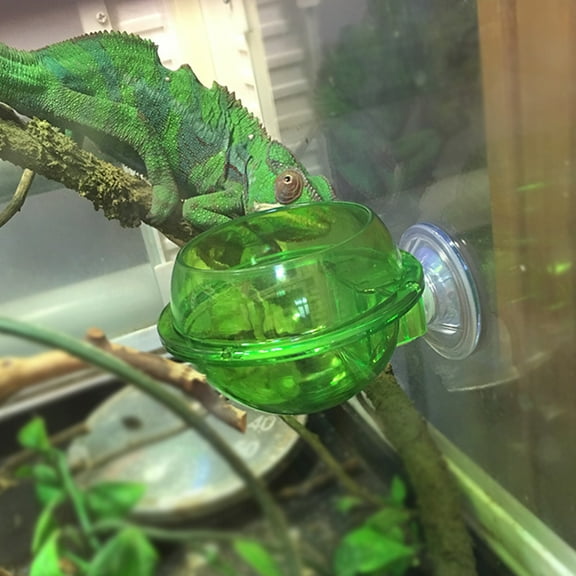 Visland 1Pcs Suction Cup Reptile Feeder, Anti-Escape Reptile Food Bowl, Chameleon Bowl, Worm Live Fodder Container,Pet Feeder Supplies Accessories for Tortoise Gecko Snakes Chameleon Iguana