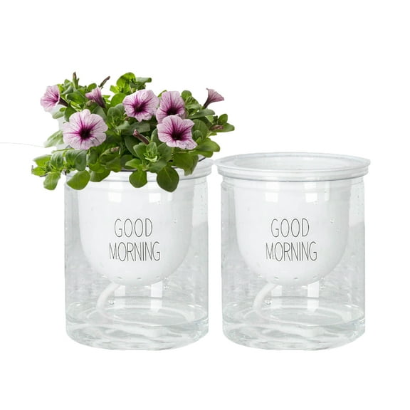Visland 2Pcs Self Watering Planter, African Violet Pots, Flower Plant Pot for Various Plants / Flowers / Succulent Plants