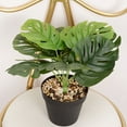 thumbnail image 1 of Visland Artificial Monstera Leaves&nbsp;Vivid&nbsp;Fresh-keeping&nbsp;9 Forked&nbsp;Fake Potted Green Plant Leaves&nbsp;Party Supplies&nbsp;, 1 of 8