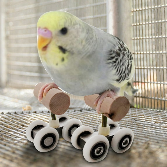 Visland Bird roller skates Training Toy,Parrot Educational Table Top Trick Prop Toy Pet Bird Foot Talon Toy for Cockatoo Eclectus Conures