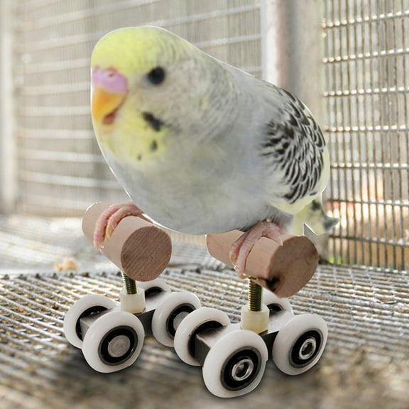 Visland Bird roller skates Training Toy,Parrot Educational Table Top Trick Prop Toy Pet Bird Foot Talon Toy for Cockatoo Eclectus Conures