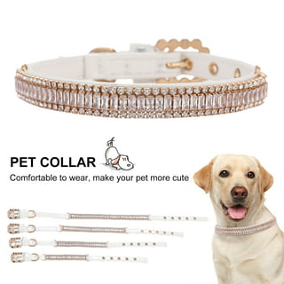 Dog Collar Indestructible Dog Collar Airtag Leather Pearls and Diamonds Dog  Collar Pet Dog Chain Cat Collar Adjustable Dog Collar Pet Collar Ring Box