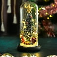 thumbnail image 1 of Visland Christmas Tree in Glass Dome, Tabletop Led Christmas Tree with Wood Base Mini Artificial Xmas Tree with String Light Ideal Christmas, 1 of 3