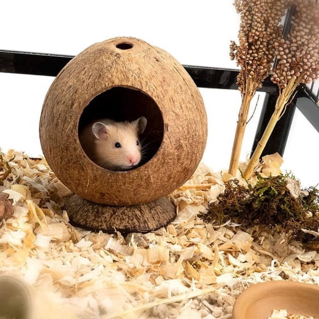 View of Visland Coconut Hut Hamster House Bed, for Gerbils Mice Small Animal ...