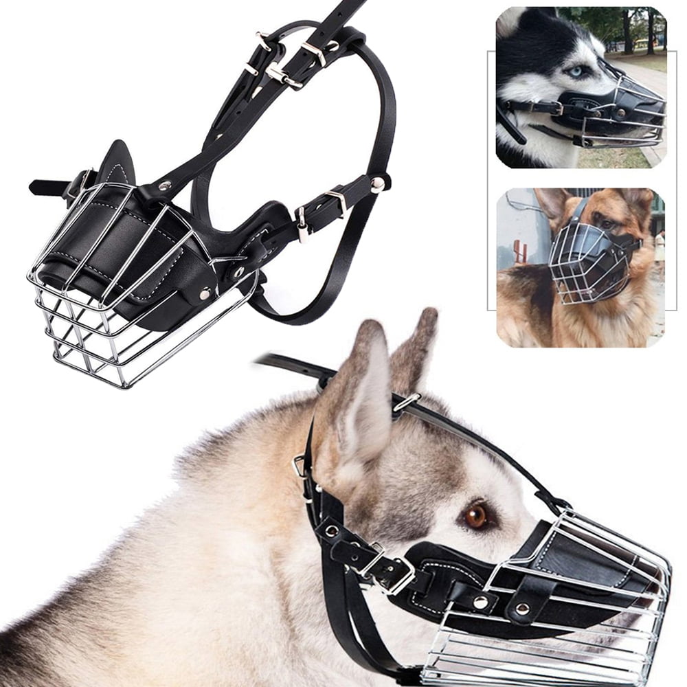 Metal muzzles for pitbulls hot sale