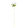 thumbnail image 1 of Visland False Anthurium Artificial Flower Photography Props Single Branch Home Green Plant Decoration for Living Room - 1PC, 1 of 1
