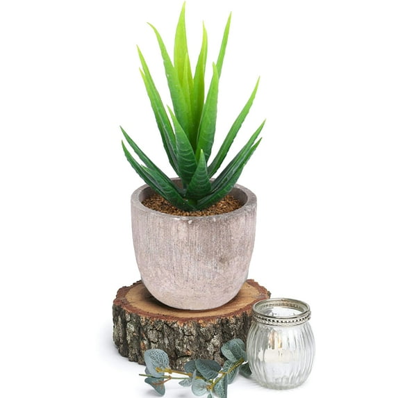 Visland Farmhouse Green Artificial Plant in Pot, Decorative Faux Plant and Pot for The Home, Office, Desk, Dorm or Classroom. 5"x 3" Faux Plant Potted Small Planter