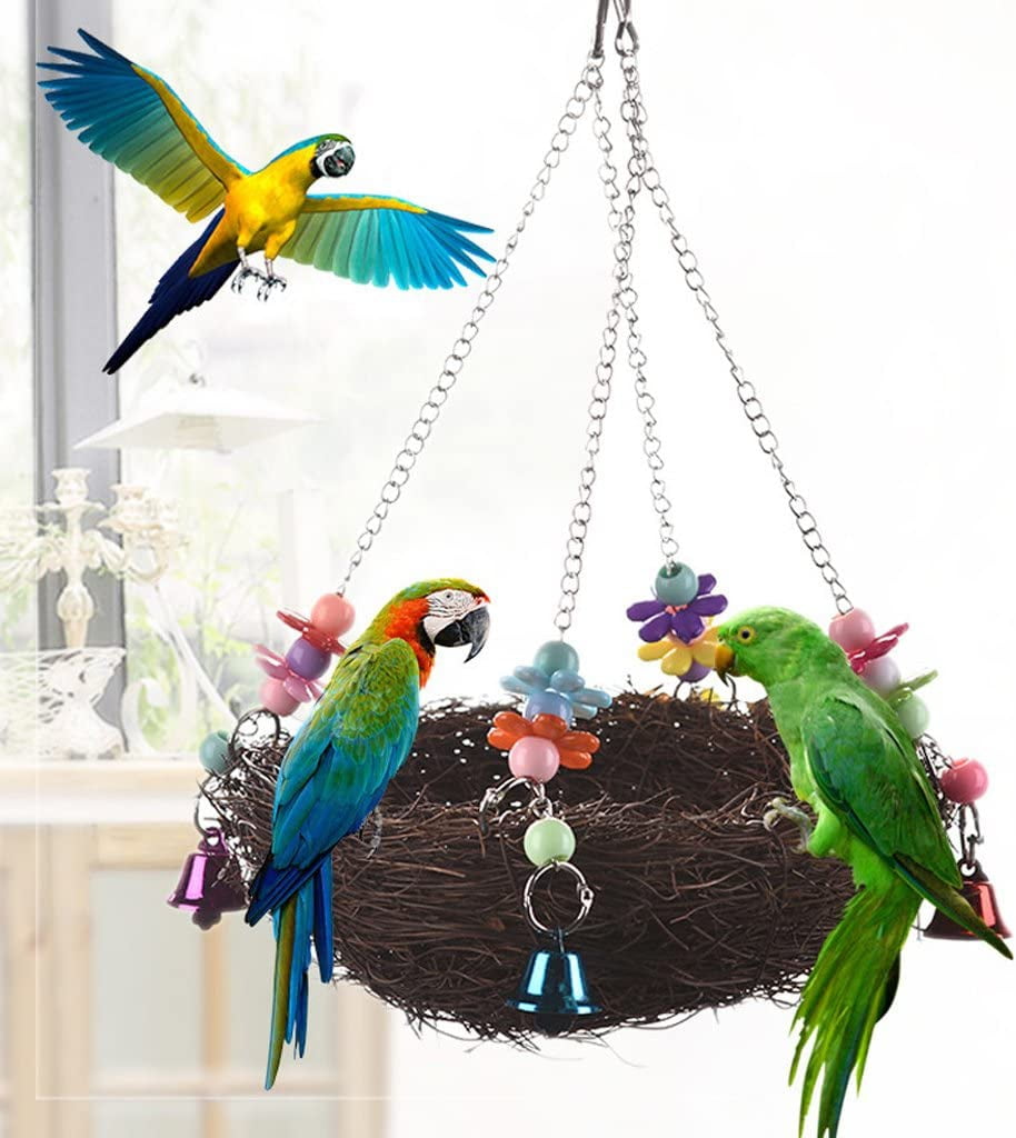 African grey parrot swing sales
