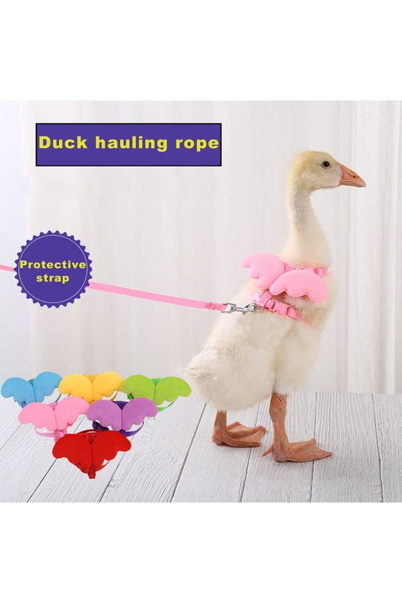 Pet Duck Outside Walking Harness Leash,Wing Design Hen Chickens Harness, Adjustable Outdoor Training Traction Rope for Chicken Goose Hen