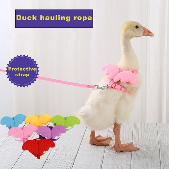 Visland Pet Duck Outside Walking Harness Leash,Wing Design Hen Chickens Harness, Adjustable Outdoor Training Traction Rope for Chicken Goose Hen