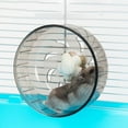 thumbnail image 1 of Visland Pet Hamster Running Disc Toy Silent Rotatory Jogging Wheel Pet Sports Wheel Small Animals Cage Accessories for Mice, Gerbils, or Mice Hamsters, 1 of 7