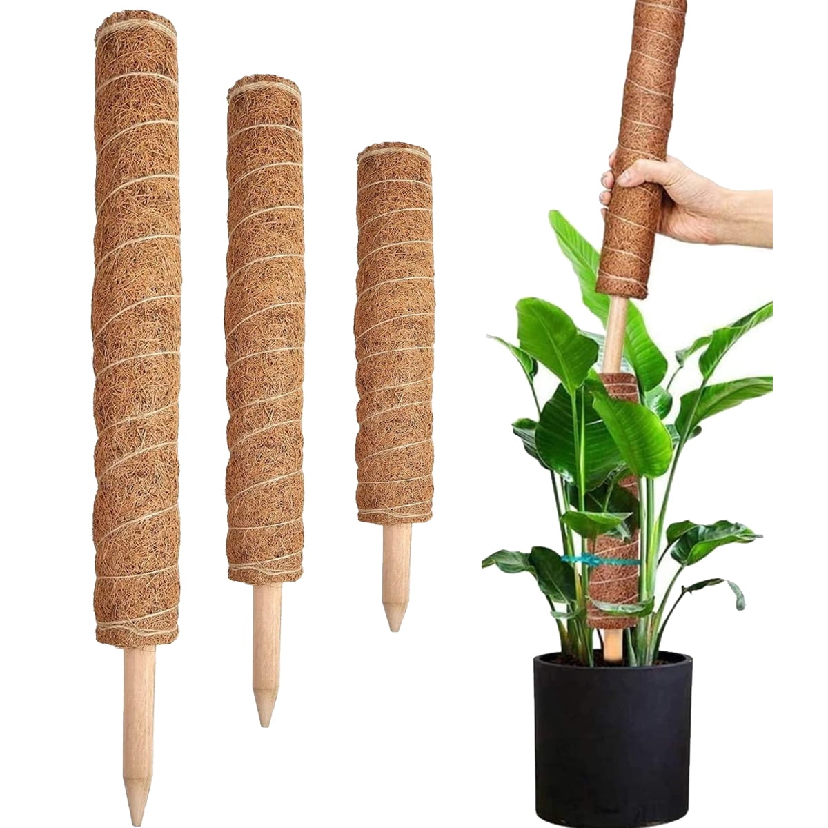 Visland Moss Pole, Stackable Support for Indoor/Outdoor Garden