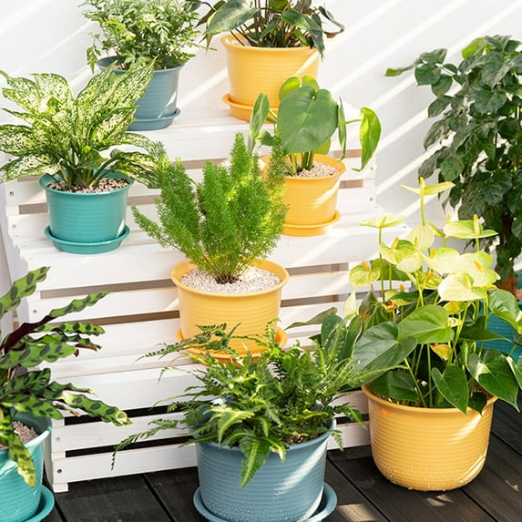 Visland Plastic Planter, Plants Plastic Pots with Multiple Drainage Holes and Tray, Plastic Flower Pots Plastic Plant Pot for All Home Garden Flowers Succulents