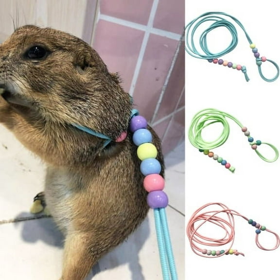 Visland Small Animal Leash Adjustable Night Luminous Portable Lizard Hamster Rabbit Nylon Traction Rope for Outdoor