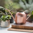 thumbnail image 1 of Visland Watering Can Indoor Outdoor for Kids House Desk Office Plants and Garden Bonsai Stainless Steel (15oz) Rose Gold, 1 of 7