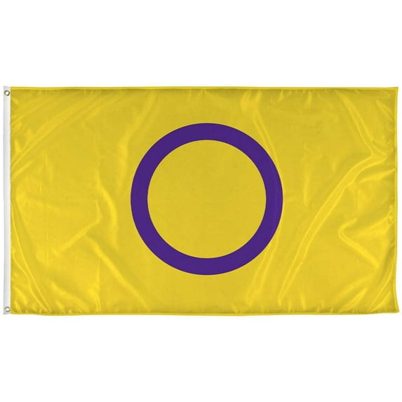 Vispronet 3ft x 5ft Intersex Flag, Indoor and Outdoor Intersex Pride Flag