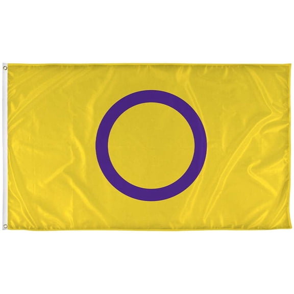 Vispronet 3ft x 5ft Intersex Flag, Indoor and Outdoor Intersex Pride Flag