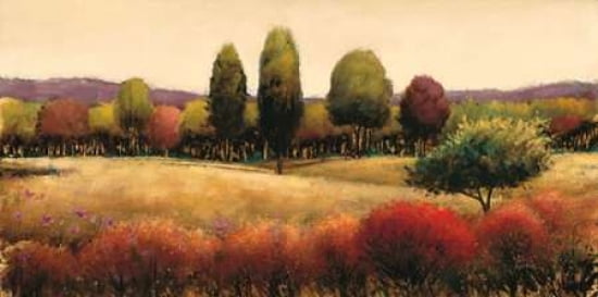 Vista Canvas Art - James Wiens (24 x 48)