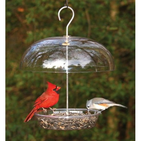 Vista Dome Bird Feeder