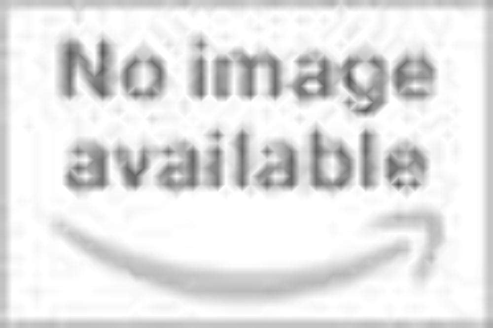 Vista Lug Nuts DPC1042B LUG NUTS